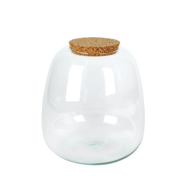 Richmond Vase - Terrarium