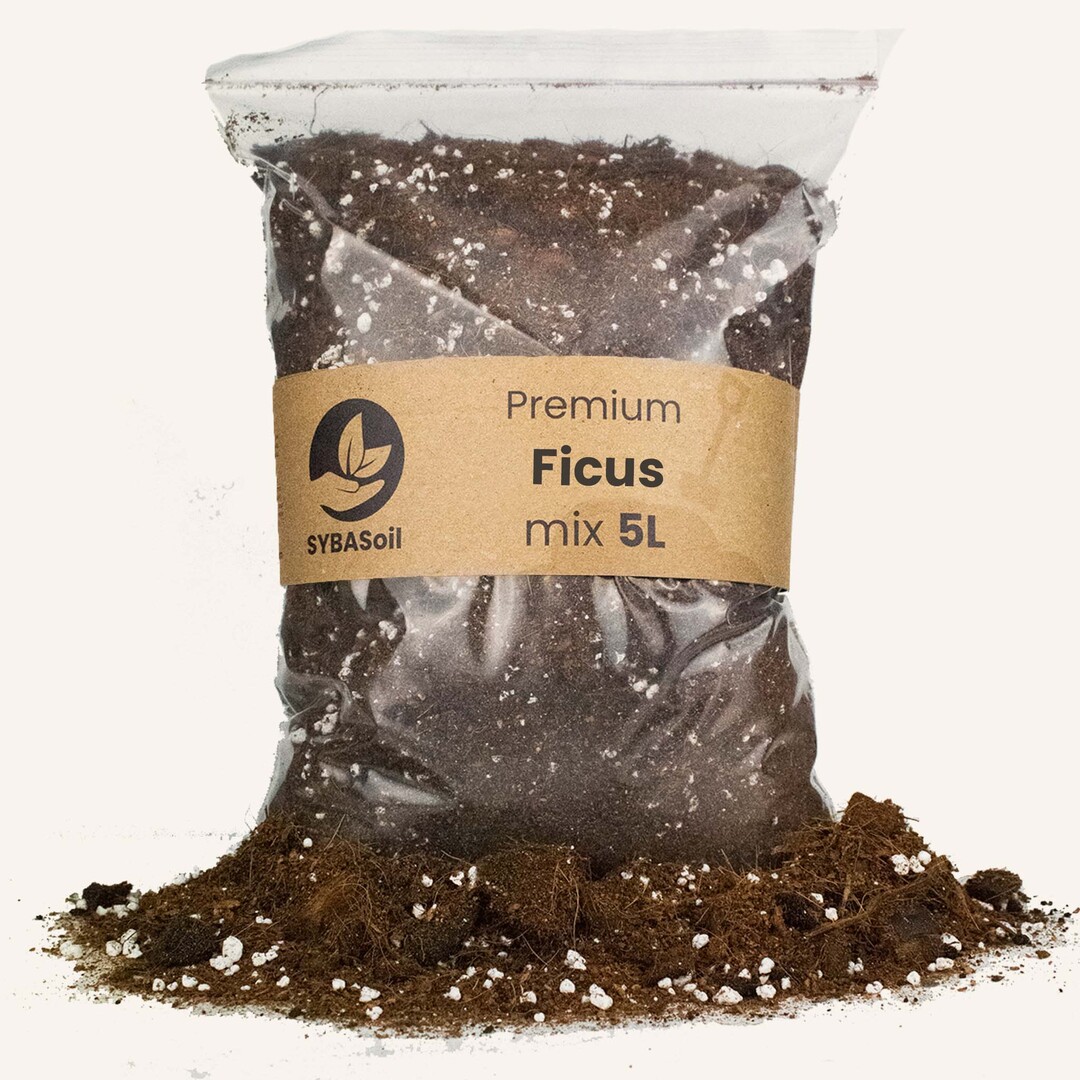 Premium Ficus-Erde 5L