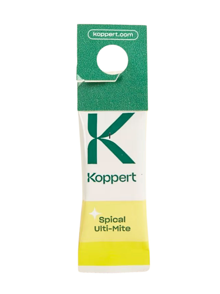 Schädlingsbekämpfung Bio - gegen Spinnmilben